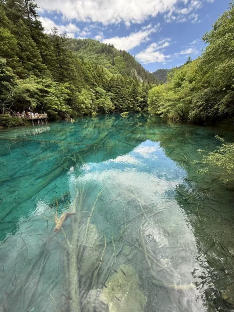 Jiuzhaigou (1)