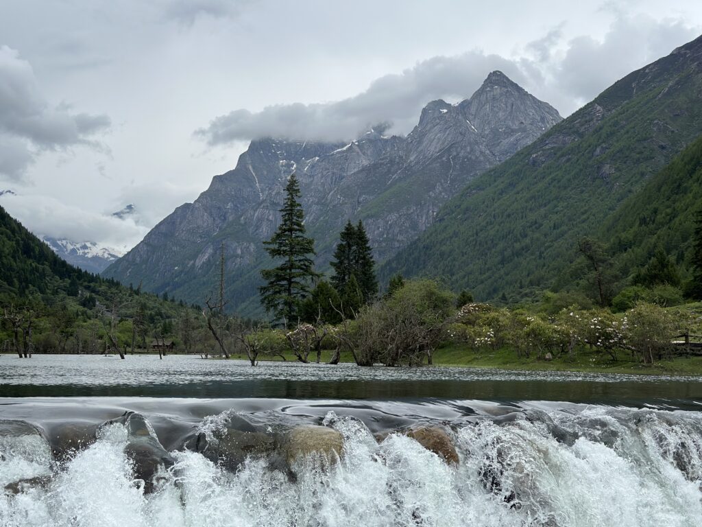 Travel (5)