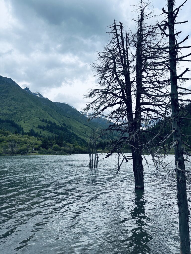 Trip (2)